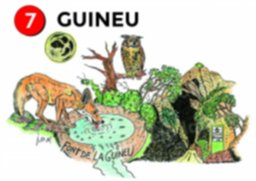 7 GUINEU